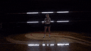 MSUMDragons dragons msum klug msum dragons GIF
