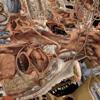 reinbijlsma trippy weird nft alien GIF