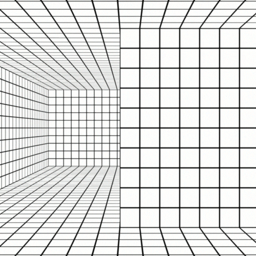 maze grid room GIF by jjjjjohn