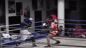 Martial Arts Fighting GIF by Casol