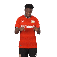 Look Down Its You Sticker by Bayer 04 Leverkusen