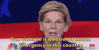Elizabeth Warren Gun Control GIF