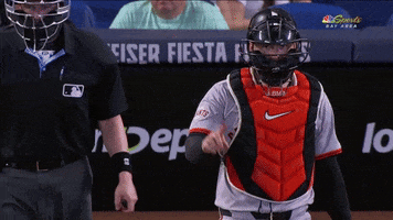 Major League Baseball No GIF by MLB