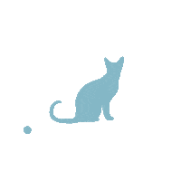 alibasdaysar cat logo design moon Sticker
