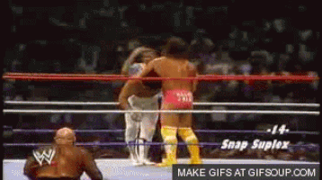 macho man randy savage GIF