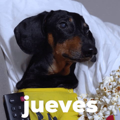 Feliz Jueves GIF by Sealed With A GIF