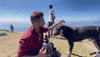 Dog Camping GIF by Digital Pratik