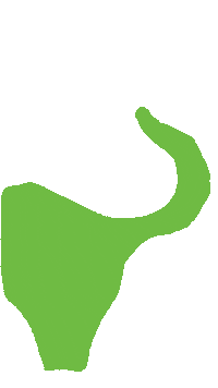 Happy Dog Sticker by Arken Zoo