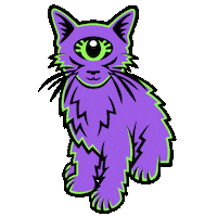 cat kitten Sticker