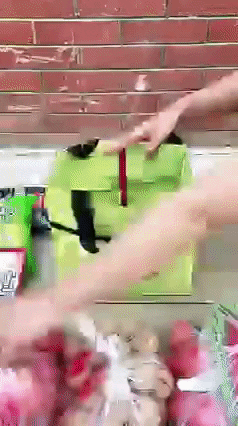 giphygifmaker foldable shopping bag with wheels folding shopping bag with wheels luggage carrier with wheels rolling bag cart GIF