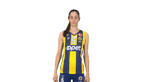 Fenerbahce Sticker by Fenerbahçe Voleybol Şubesi