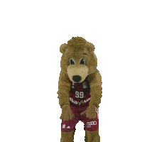 Fc Bayern Cheer Sticker by FC Bayern Basketball