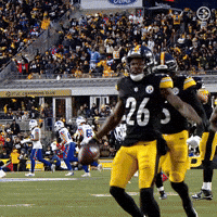 Excited Celebration GIF by Pittsburgh Steelers