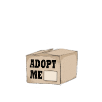 Animal Adoption Sticker by MICA Graphic Design Motion
