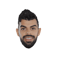 Sport Win Sticker by Islamabad United