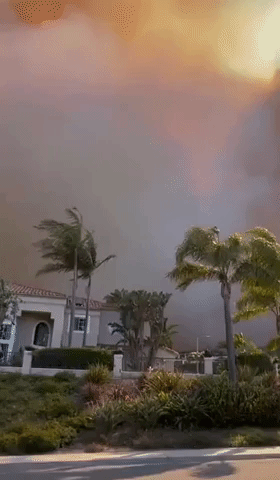 Wildfire Destroys Homes in Laguna Beach