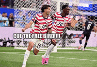 Usa America GIF