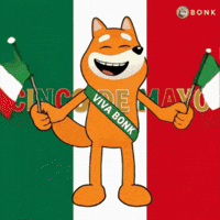 Crypto Solana GIF by BONK