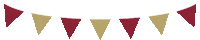 Boston College Eagles Sticker by College Colors Day