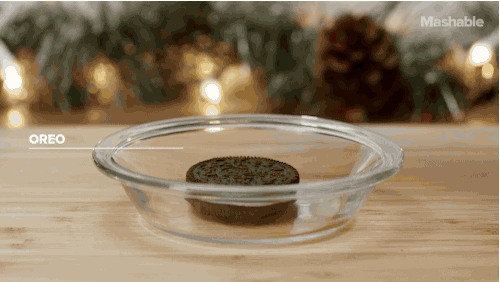 GIF by Mashable