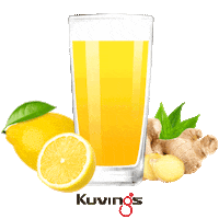 Health Juicing Sticker by Kuvings