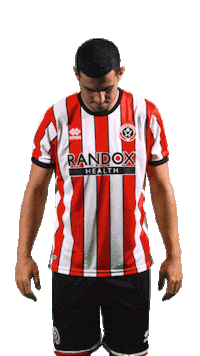 Sheffield United Sport Sticker by Sheffield United Football Club