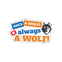 Wolves Sticker by KÍNDER MULTIMEDIA - COLAM