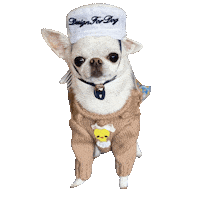 Dog Sticker