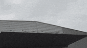 Arkana GIF by Autohaus Tabor