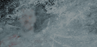 #koelnerhaie #torschuetze #del hospelt GIF by Kölner Haie