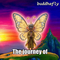 Peace Mountain GIF by BuddhaFlyJourney