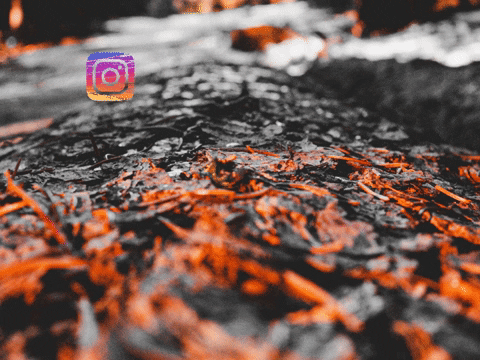 You Can Wow GIF by FranchiseONE.de