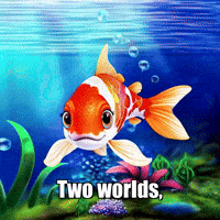 Two Worlds Wisdom GIF by TheConfishius