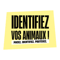 Cat Dog Sticker by Fichier National I-CAD