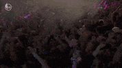 Nba Playoffs Sport GIF by NBA