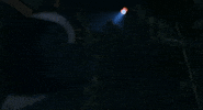 New Zealand Canada GIF by TIFF
