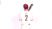 Justin Johnson Baseball GIF by Lafayette Leopards