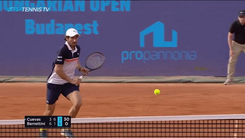 sport spin GIF by Tennis TV