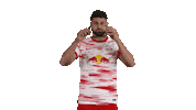 Oh Yeah Football Sticker by RB Leipzig