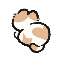 Cat 貓 Sticker