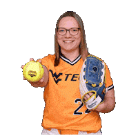 Softball Sticker by WVU Tech Golden Bears