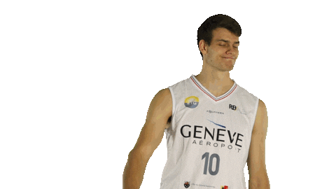 Basketball Dunk Sticker by Lions de Genève