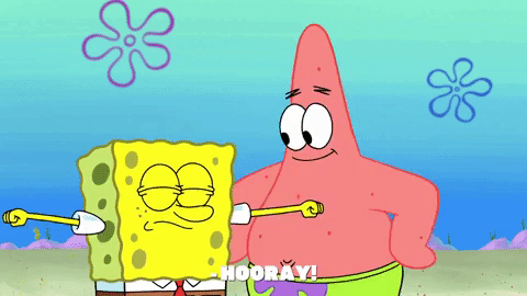 season 9 episode 3 GIF by SpongeBob SquarePants