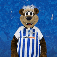 Happy Bundesliga GIF by Hertha BSC