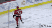Ice Hockey Sport GIF by NHL