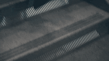 collegeoflakecounty school run running college GIF