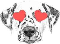 Lucy Sticker