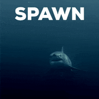 Shark Week GIF by Discovery