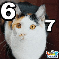 Deal Or No Deal Numbers GIF by Lucas and Friends by RV AppStudios