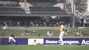 Baton Rouge Baseball GIF by LSU Tigers